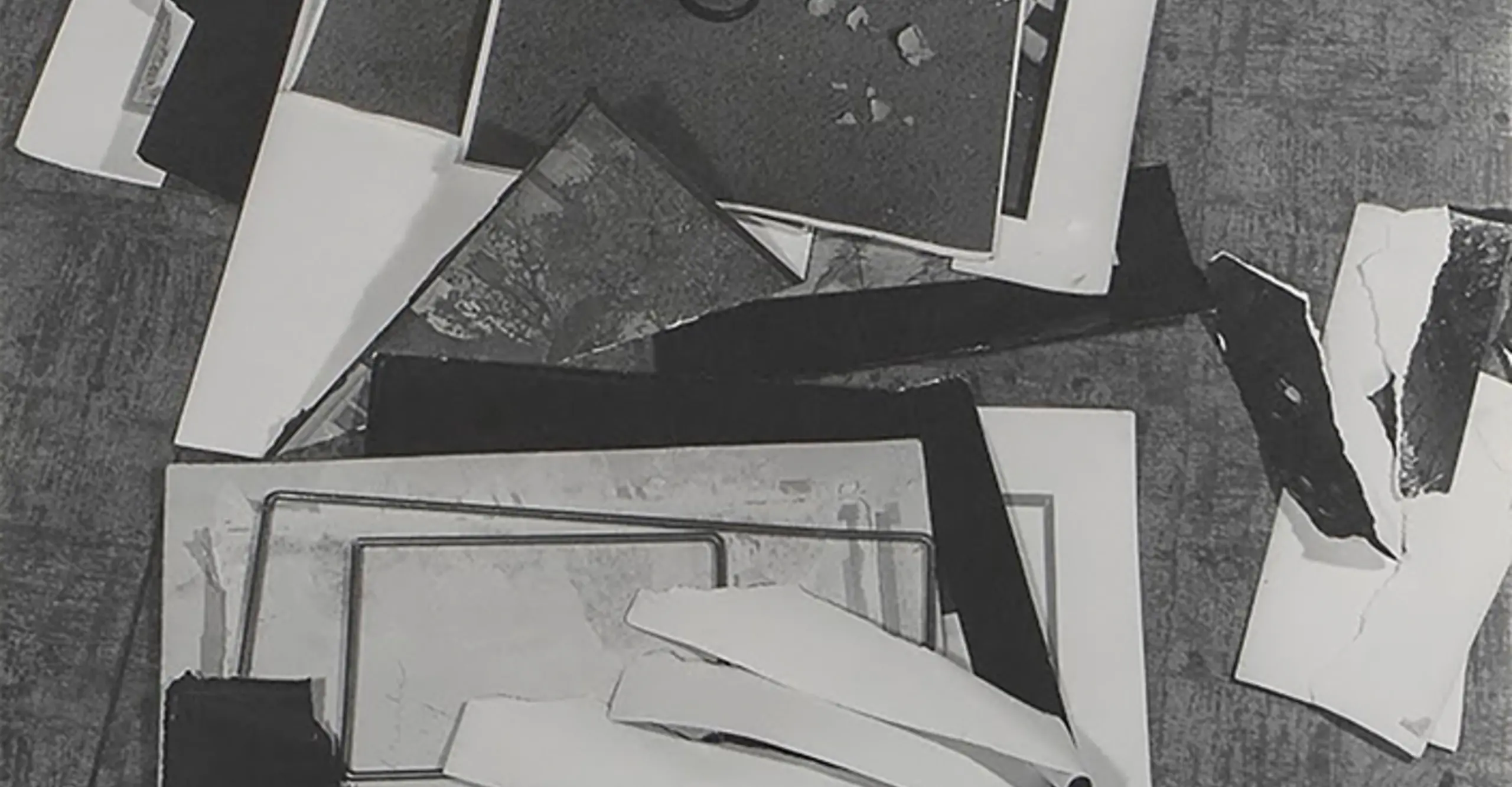 Jan Svoboda: Against the Light